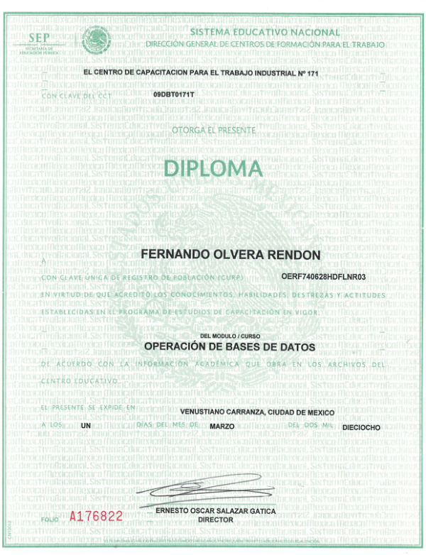 Miniatura del certificado: Diploma Bases de Datos — Fernando Olvera